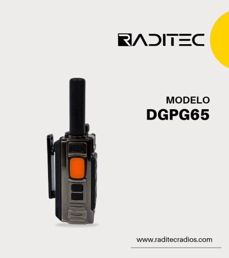 DGPg65 (2)